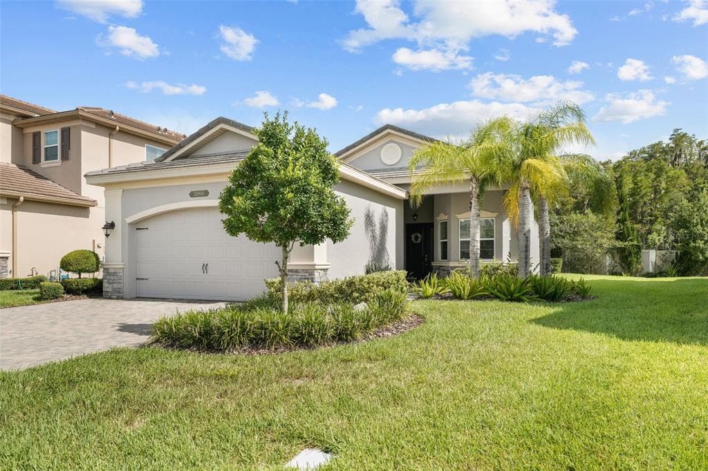 30900 LINDENTREE DRIVE WESLEY CHAPEL, FL 33543