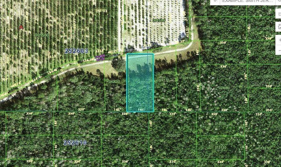 DEEN STILL ROAD POLK CITY, FL 33868