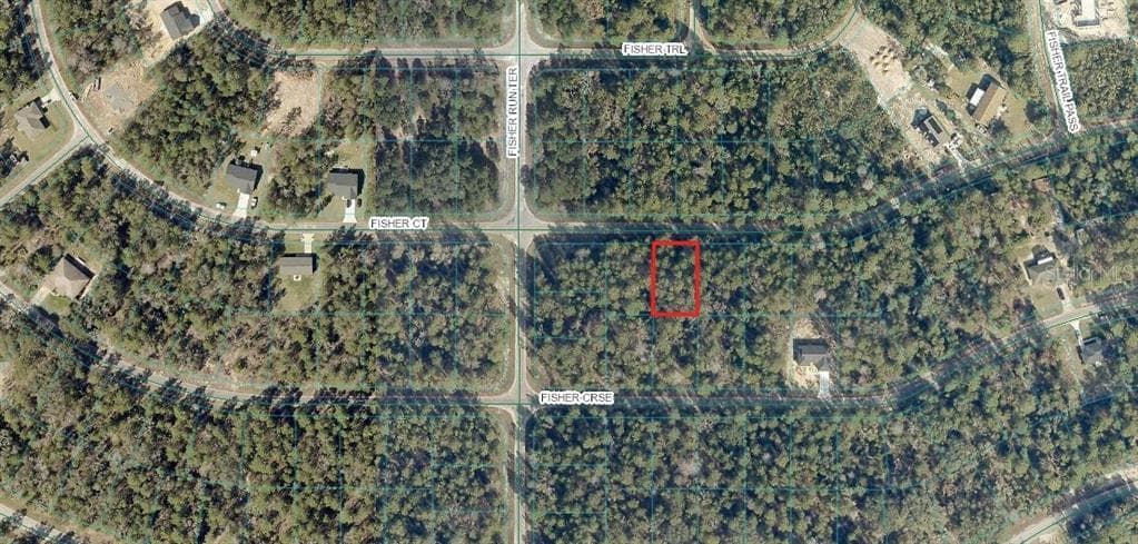 FISHER COURT OCKLAWAHA, FL 32179