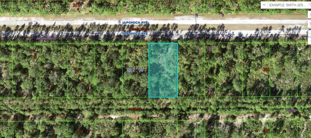 1103 JAPONICA AVENUE INDIAN LAKE ESTATES, FL 33855