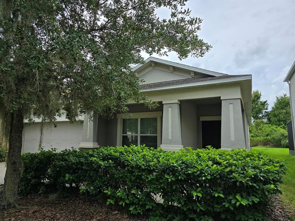 10606 PICTORIAL PARK DRIVE TAMPA, FL 33647