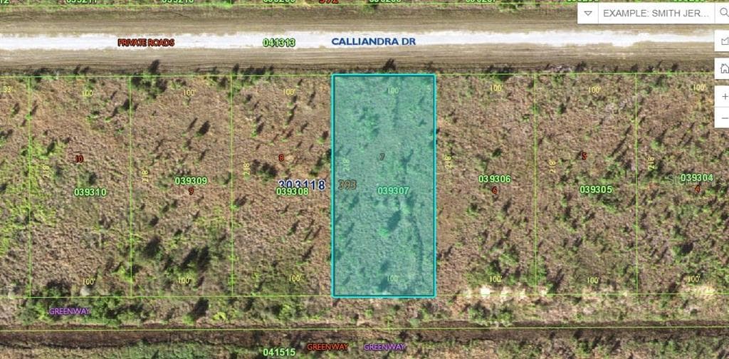 CALLIANDRA DRIVE LAKE WALES, FL 33855