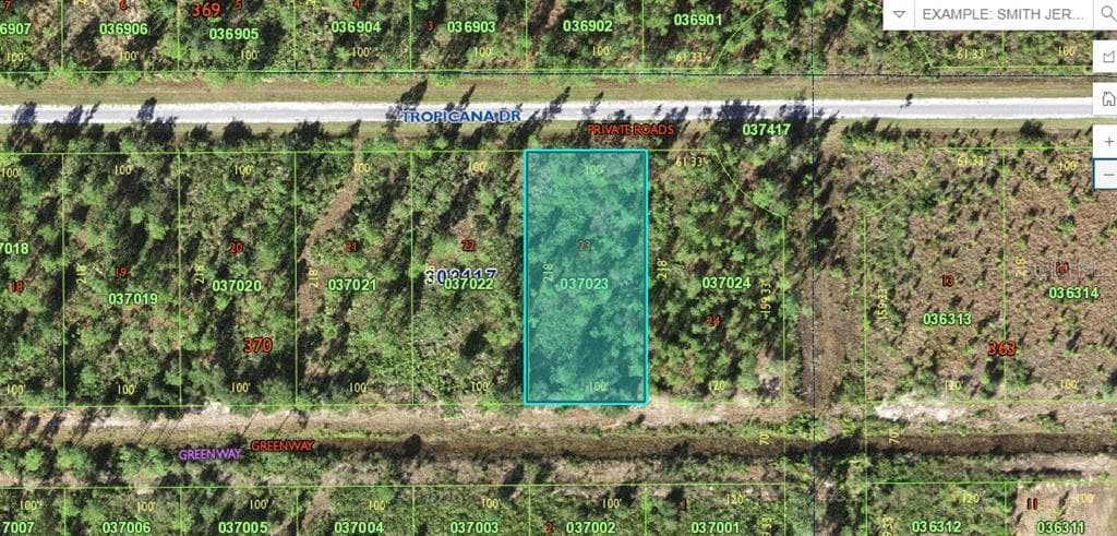 403 TROPICANA DRIVE INDIAN LAKE ESTATES, FL 33855