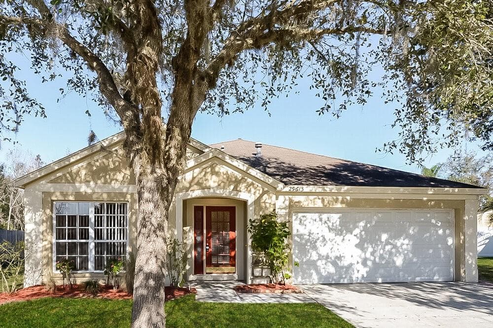 29613 MORNINGMIST DRIVE WESLEY CHAPEL, FL 33543