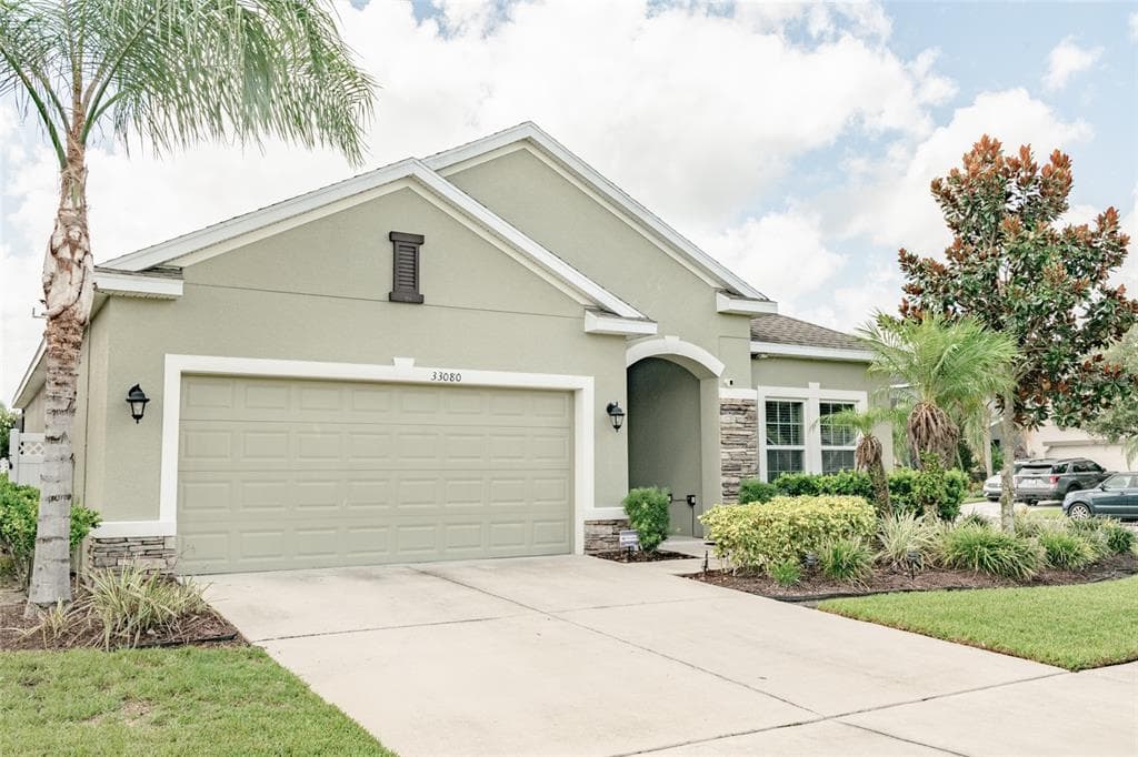 33080 SHADOW BRANCH LANE WESLEY CHAPEL, FL 33545