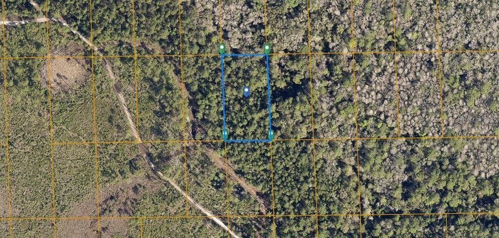 12TH AVE DELAND, FL 32724