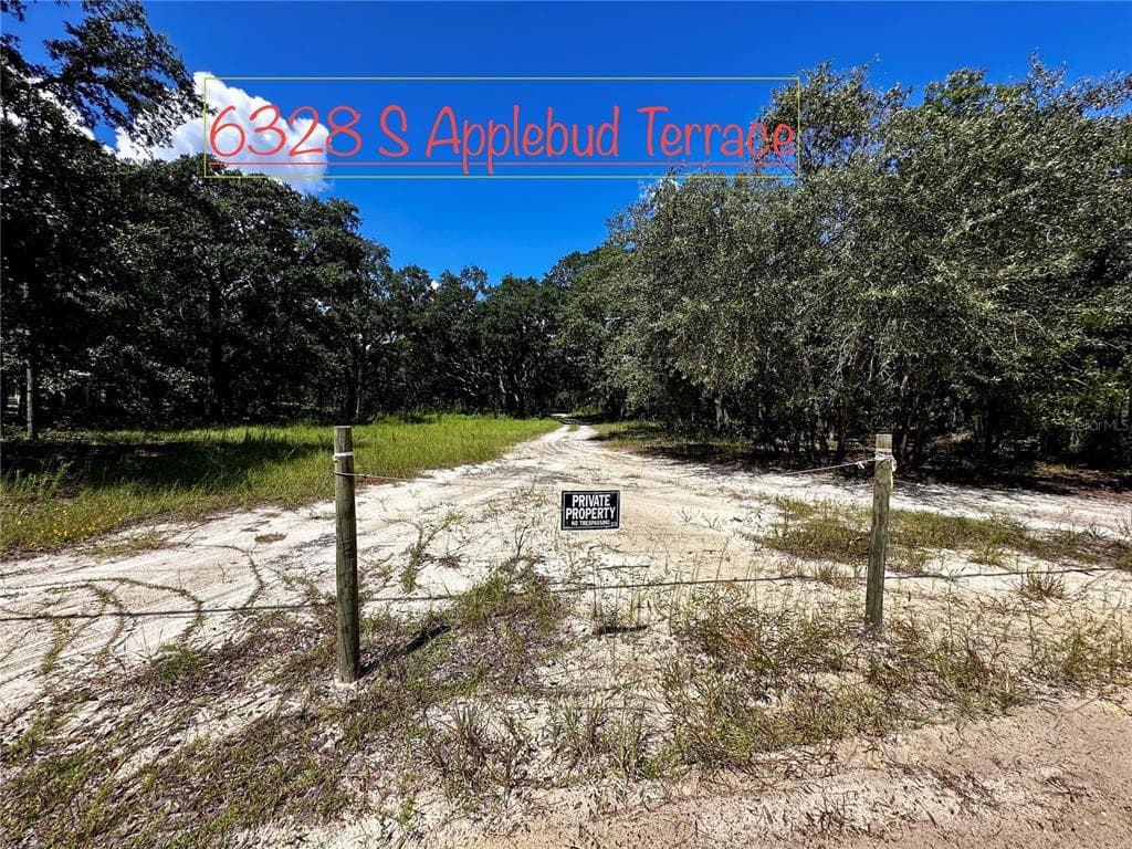 6328 S APPLEBUD TERRACE LECANTO, FL 34461