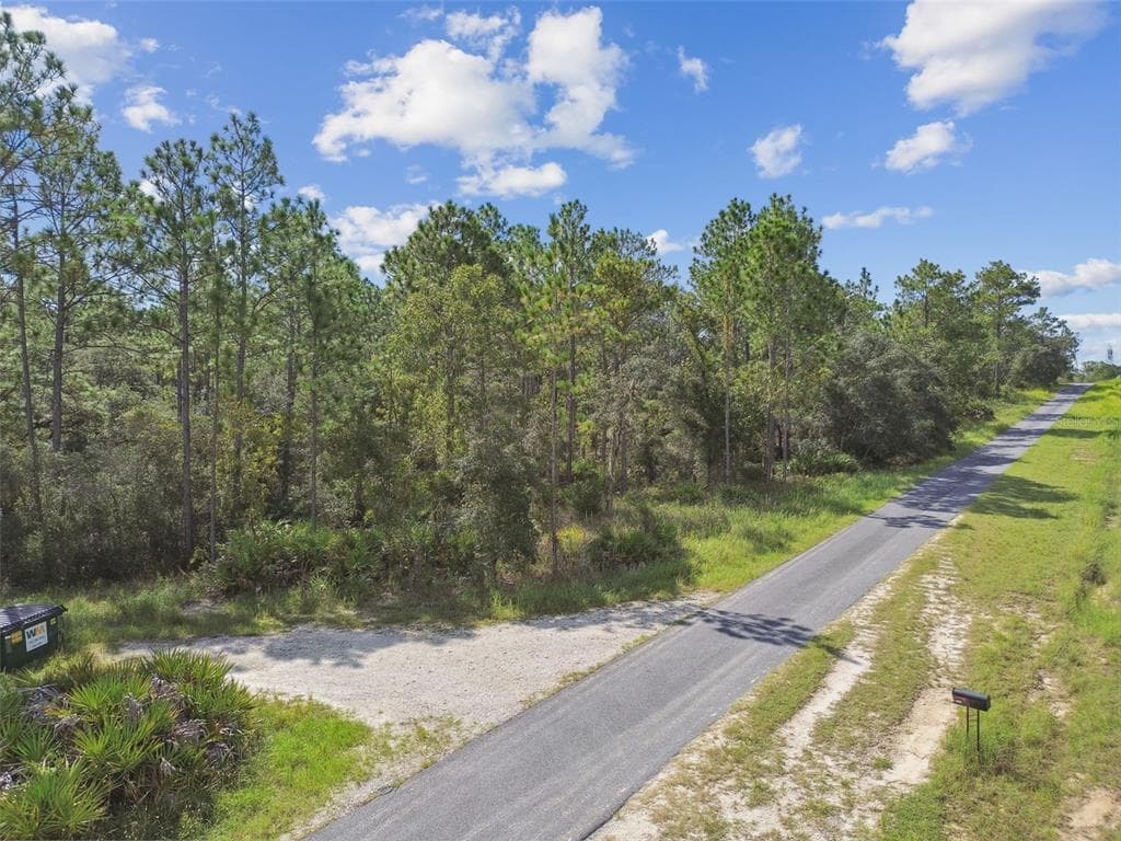 7281 N HELSINKI POINT DUNNELLON, FL 34433