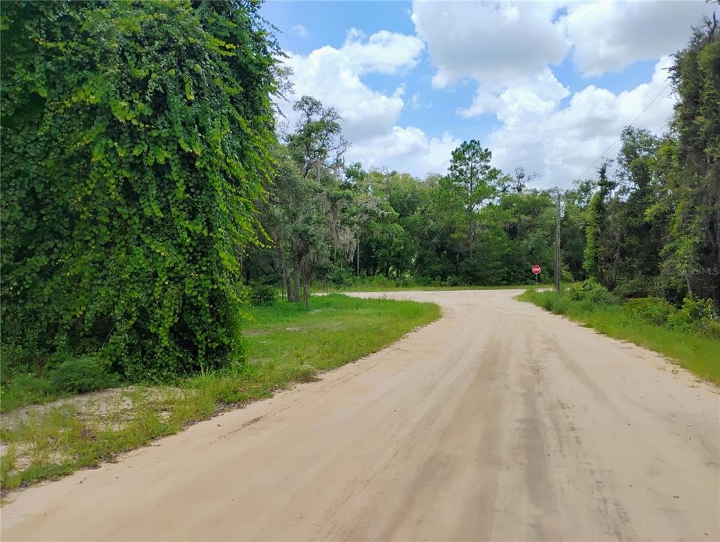 816 MARION AVENUE INTERLACHEN, FL 32148