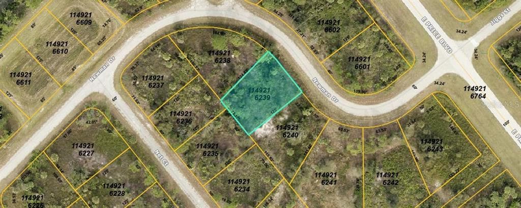 NEWMAN DRIVE NORTH PORT, FL 34288
