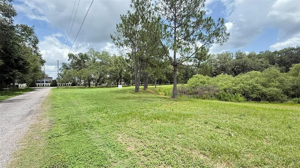 29956 NEW DUTCH LANE WESLEY CHAPEL, FL 33545