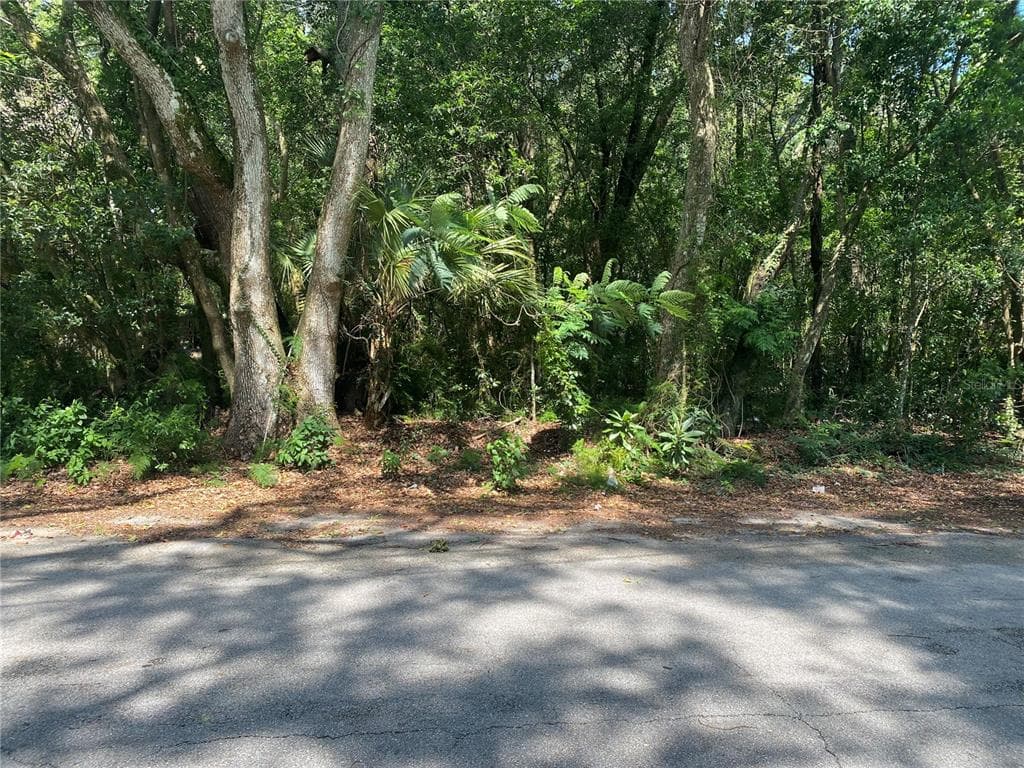 6088 TERRELL ROAD MOUNT DORA, FL 32757