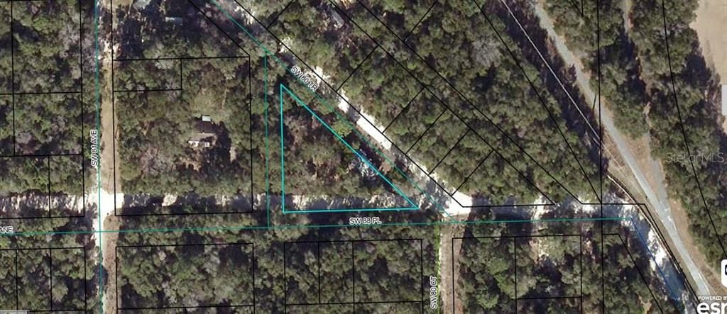8089 SW 80TH TRAIL TRENTON, FL 32693