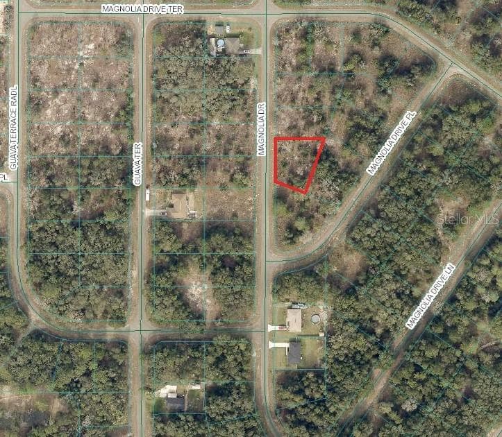 MAGNOLIA DRIVE OCKLAWAHA, FL 32179