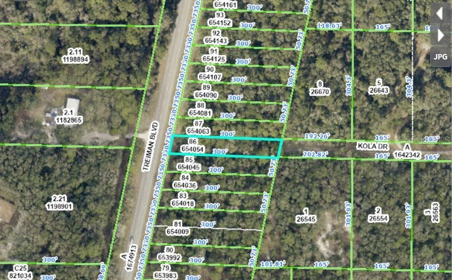 8250 TREIMAN BLVD BOULEVARD WEBSTER, FL 33597