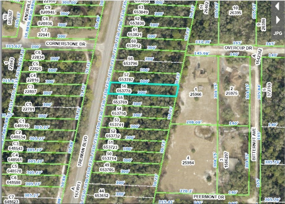 8086 TREIMAN BLVD BOULEVARD WEBSTER, FL 33597