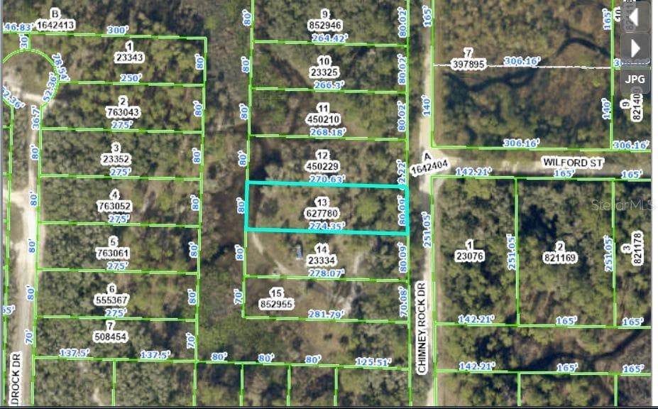 CHIMNEY ROCK DRIVE WEBSTER, FL 33597