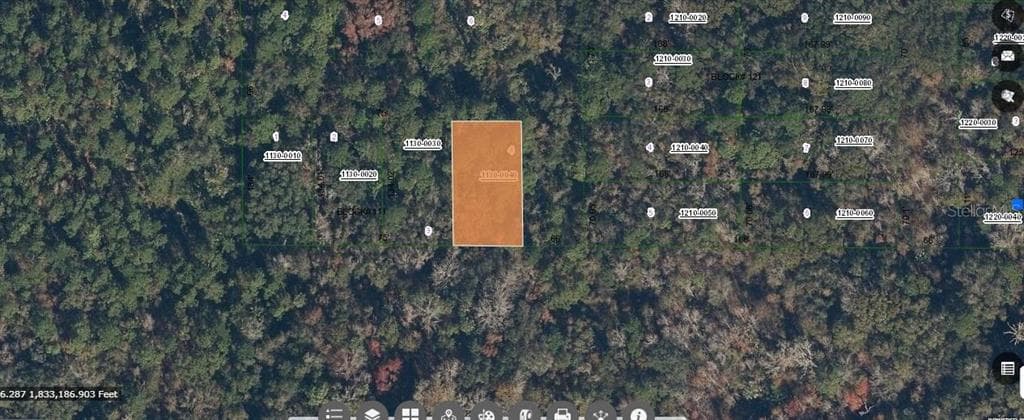 PARADISE LAKES AVENUE GEORGETOWN, FL 32139