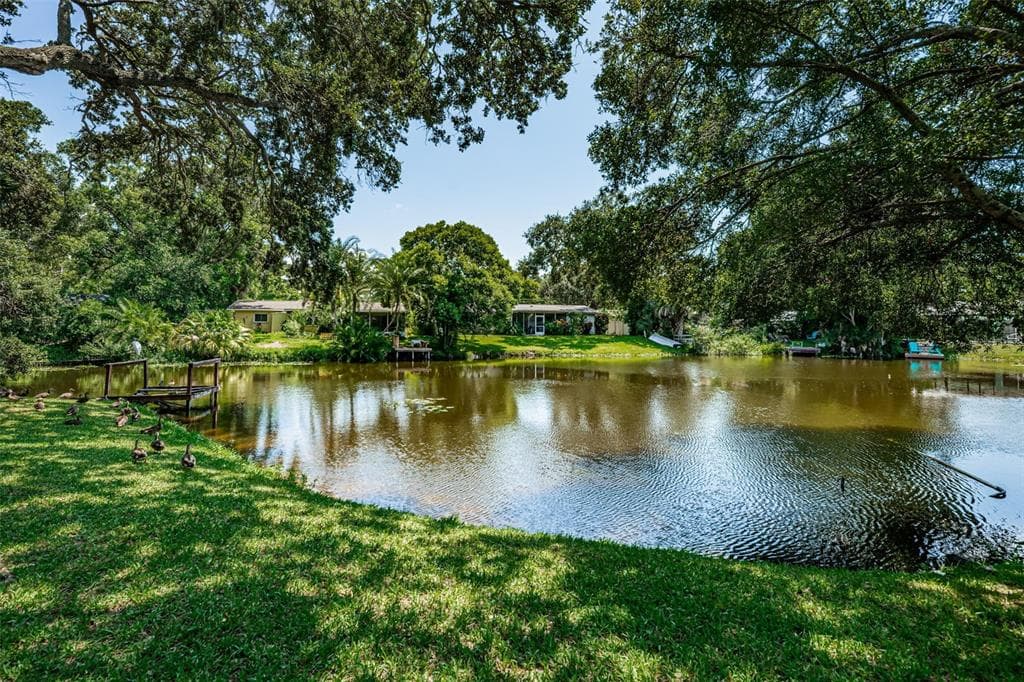 1069 IDLEWILD DRIVE N DUNEDIN, FL 34698