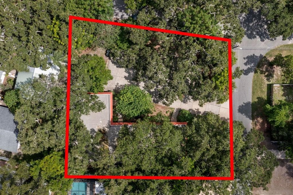 1156 ORANGE AVENUE DUNEDIN, FL 34698