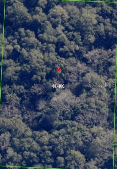 TERRELL ROAD MOUNT DORA, FL 32757