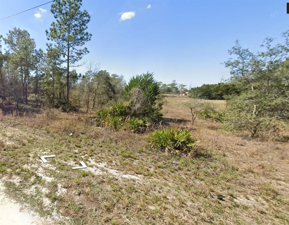13164 FLACCUS COURT BROOKSVILLE, FL 34613