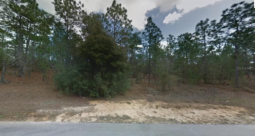 112, 114 & 116 PARIS STREET INTERLACHEN, FL 32148