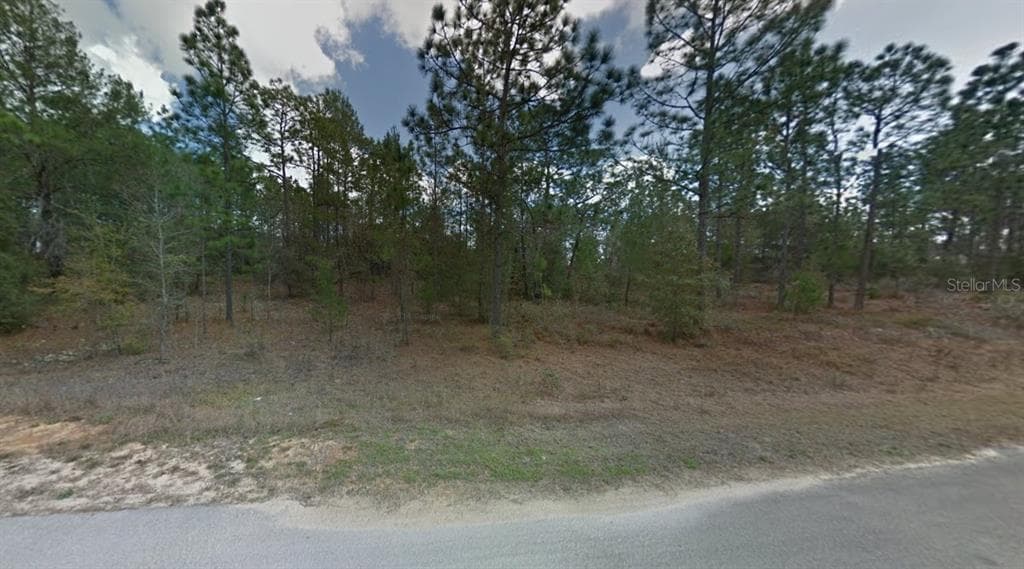 112, 114 & 116 PARIS STREET INTERLACHEN, FL 32148