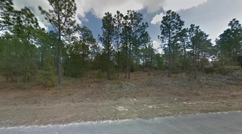 112, 114 & 116 PARIS STREET INTERLACHEN, FL 32148