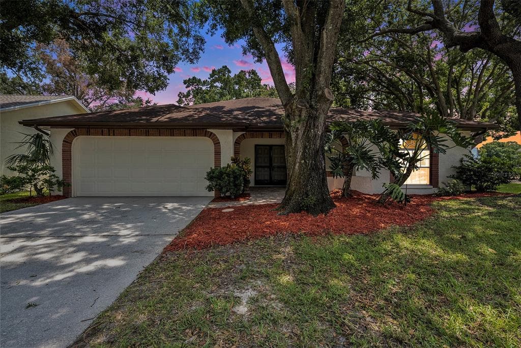 1426 WICKLOW DRIVE PALM HARBOR, FL 34684