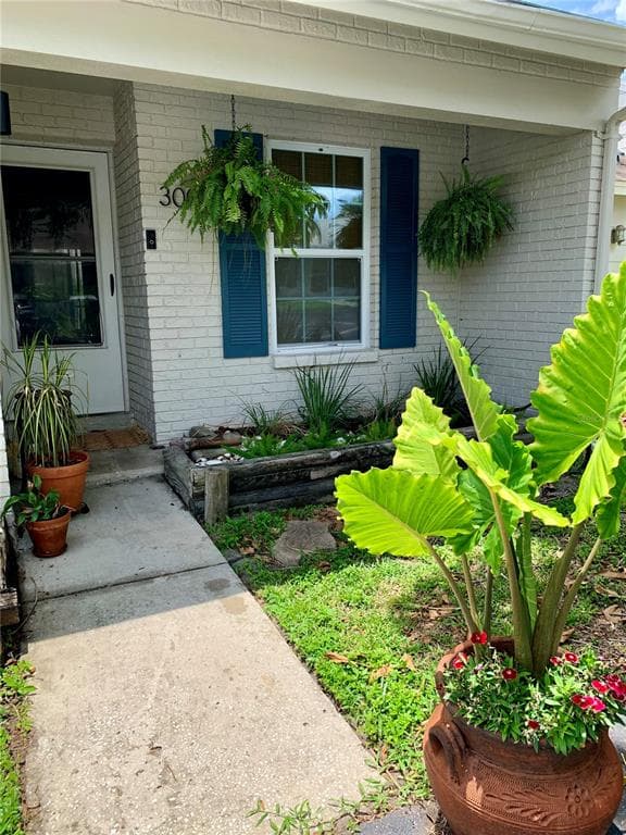 300 PLYMOUTH STREET SAFETY HARBOR, FL 34695