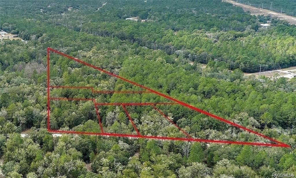 6630 N TREEFARM AVENUE BEVERLY HILLS, FL 34465