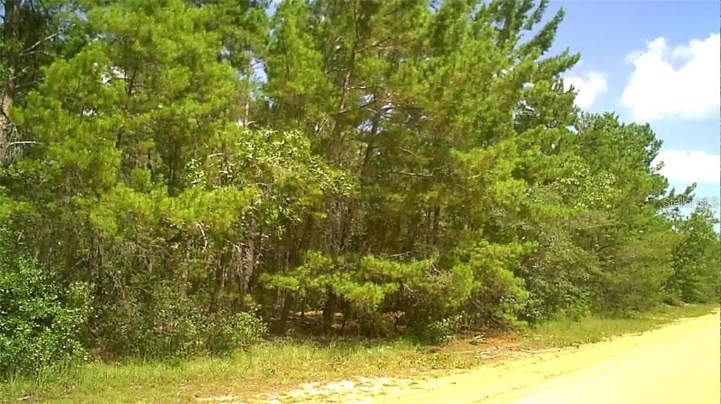 0 CHILDS ROAD INTERLACHEN, FL 32148
