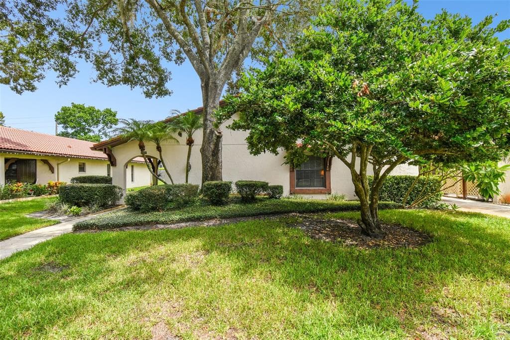 3478 TARPON WOODS BOULEVARD