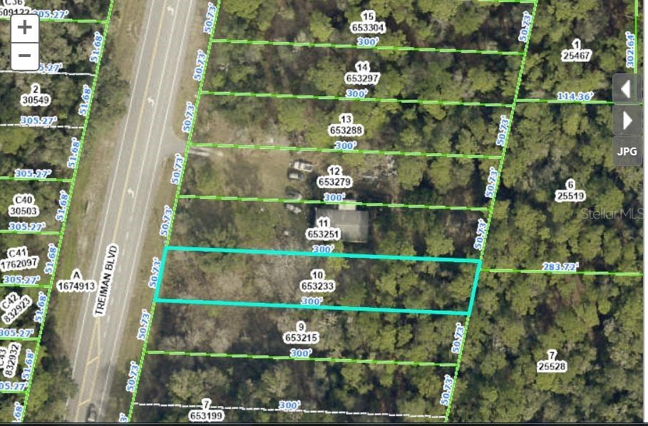 7338 TREIMAN BOULEVARD WEBSTER, FL 33597