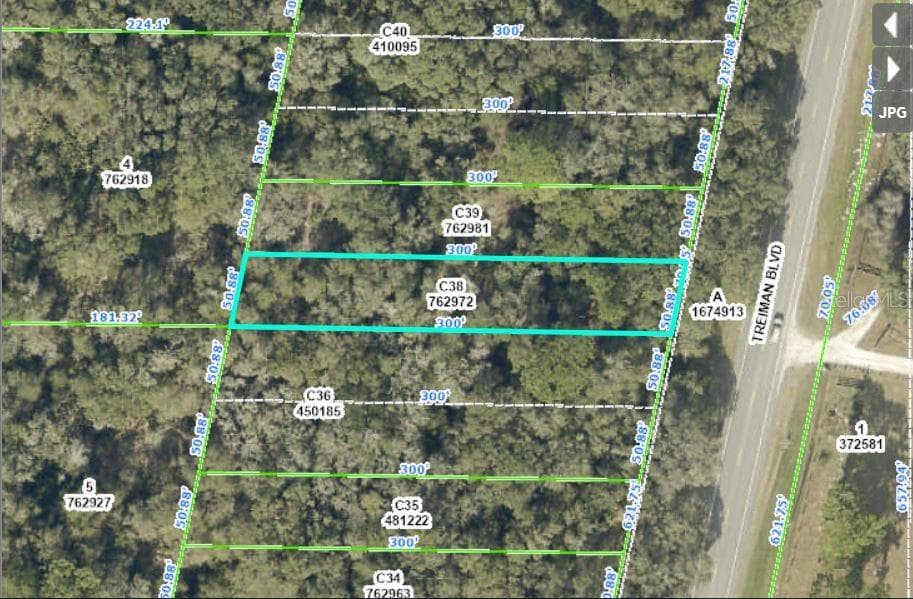 TREIMAN BOULEVARD WEBSTER, FL 33597