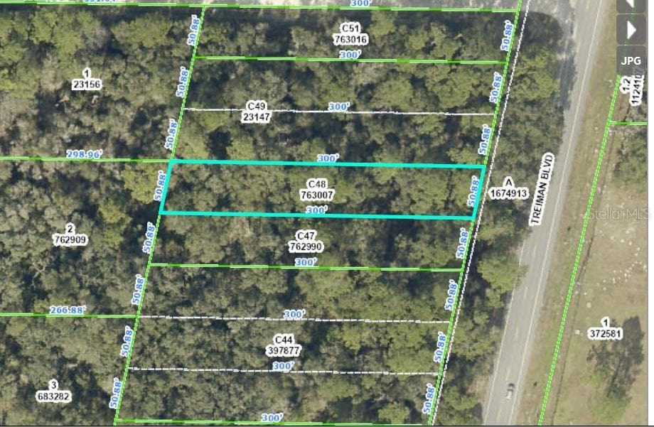 TREIMAN BOULEVARD WEBSTER, FL 33597