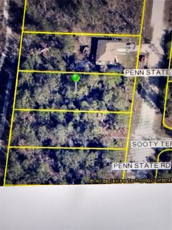 16153 PENN STATE ROAD WEEKI WACHEE, FL 34614