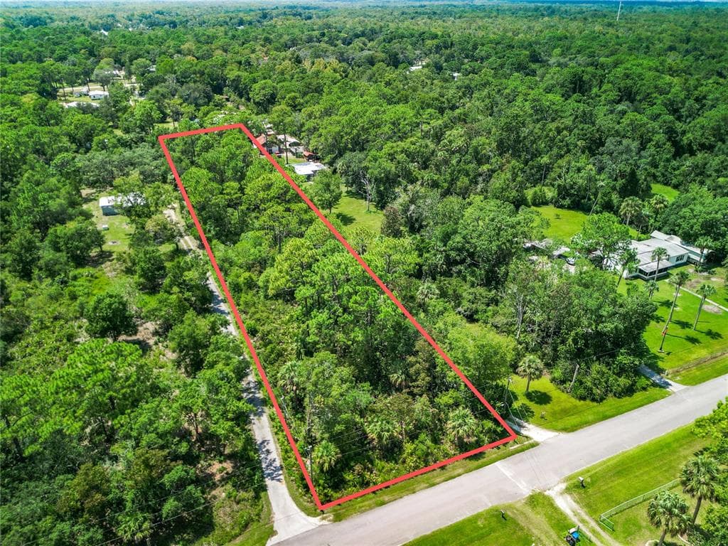 1038 S CANDLENUT AVENUE HOMOSASSA, FL 34448