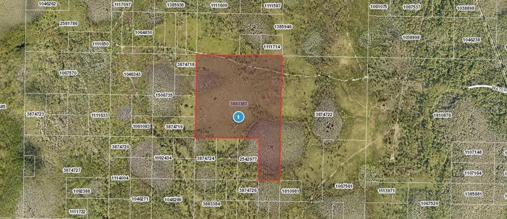 WATER ROAD GROVELAND, FL 34736