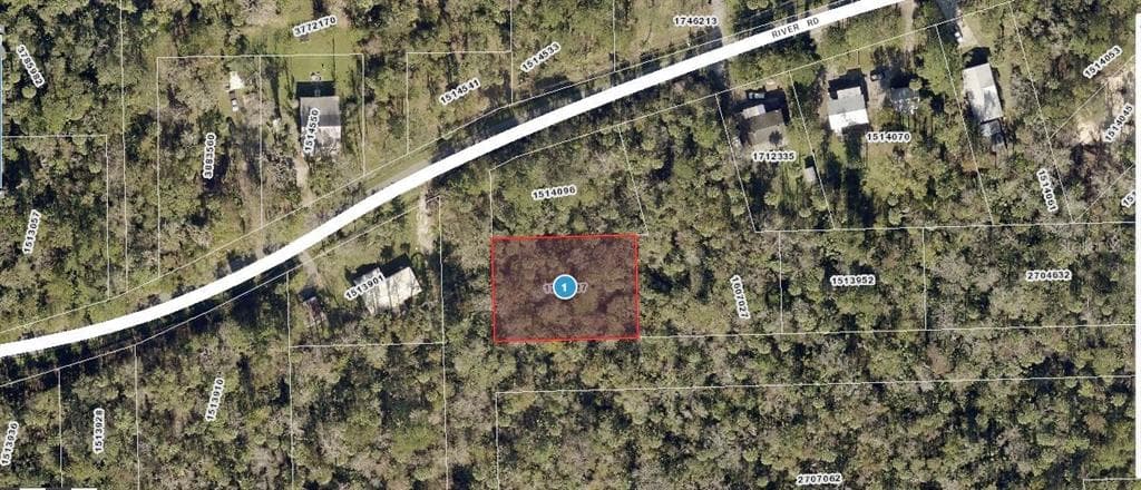 RIVER ROAD ASTOR, FL 32102