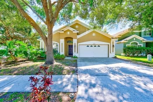 12906 TERRACE SPRINGS DRIVE