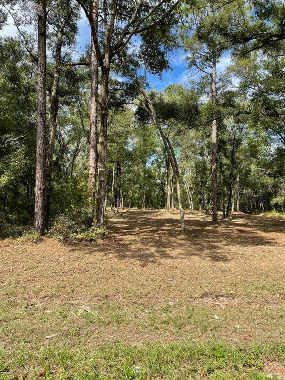 10634 N MATARO AVENUE CITRUS SPRINGS, FL 34434