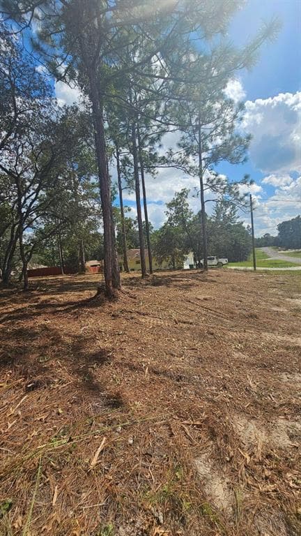 9821 N STAFFORD DRIVE CITRUS SPRINGS, FL 34433