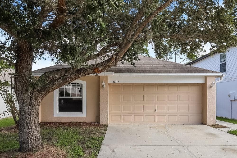 30319 PONGO WAY WESLEY CHAPEL, FL 33545