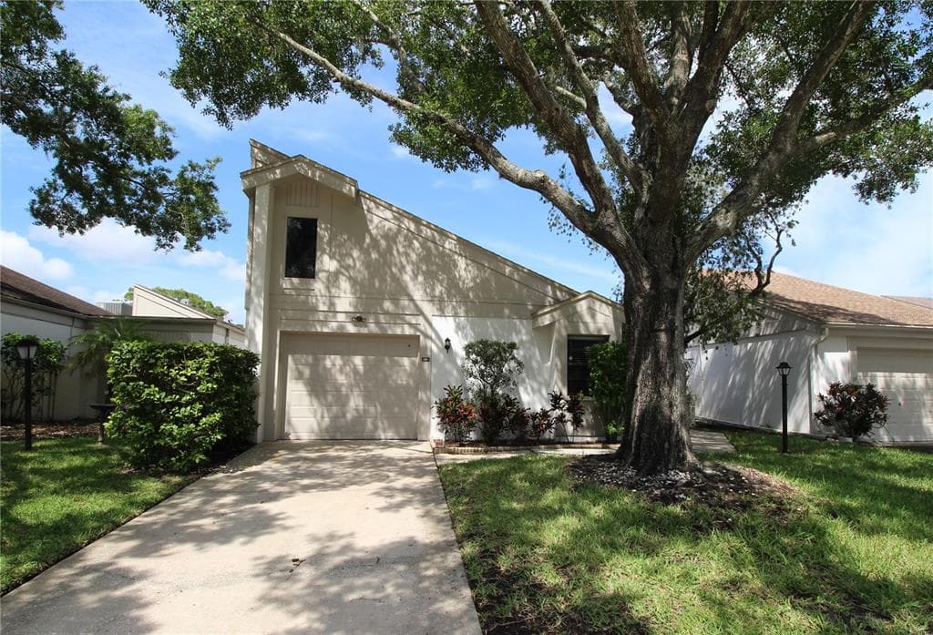 390 S WOODLANDS DRIVE OLDSMAR, FL 34677