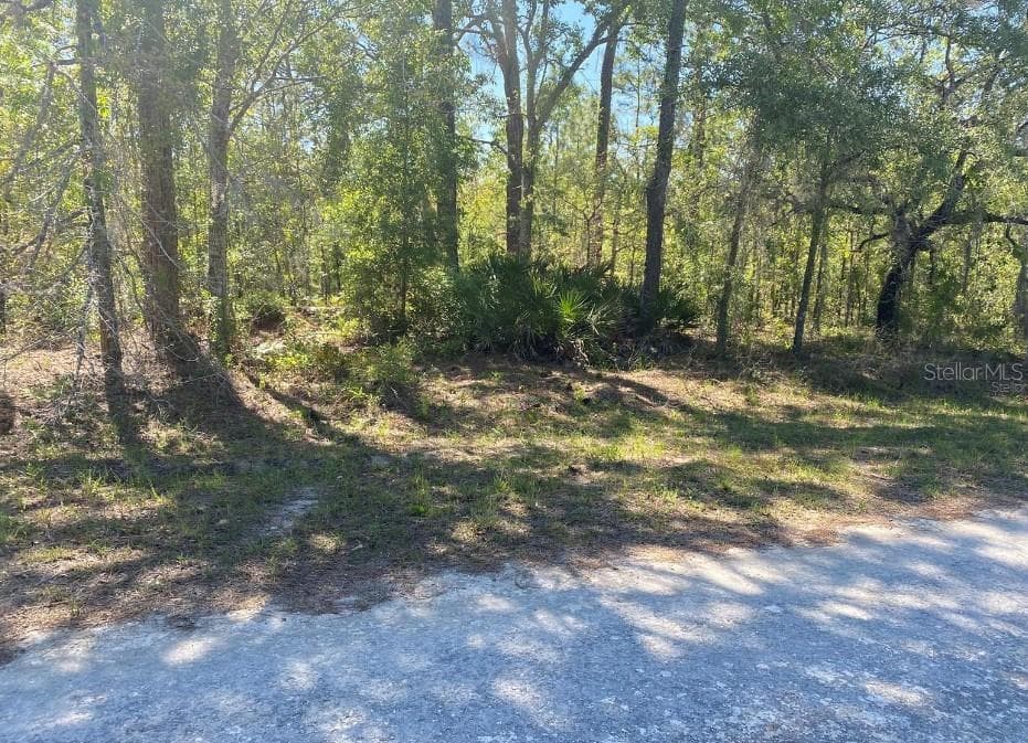 14227 EARLINE ROAD BROOKSVILLE, FL 34614