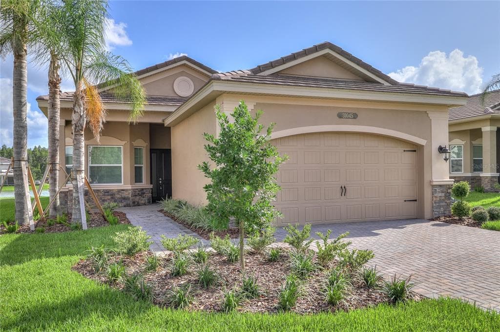 31045 LINDENTREE DRIVE WESLEY CHAPEL, FL 33543