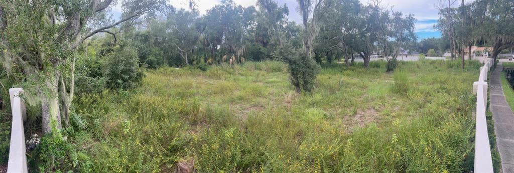 9919 ALAFIA RIVER LANE GIBSONTON, FL 33534