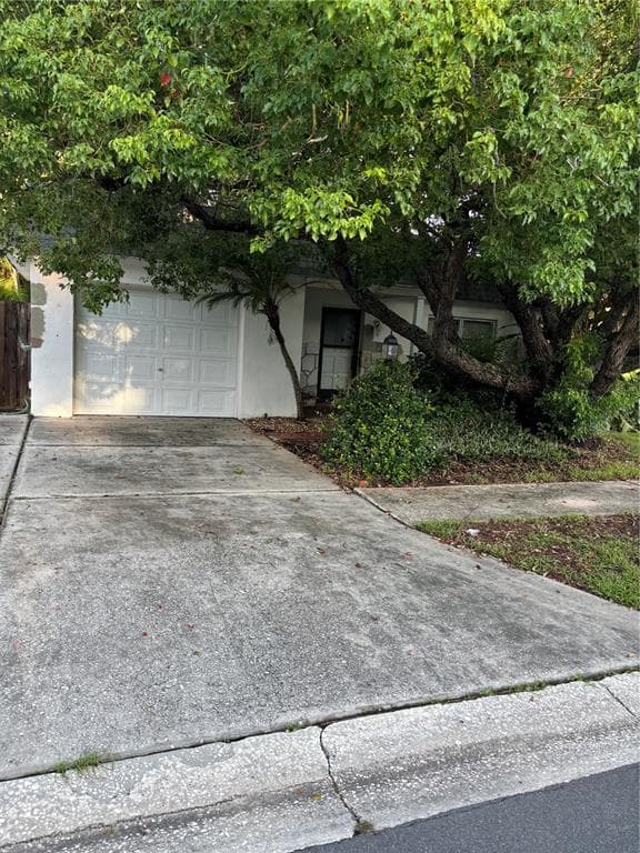 12260 ELDON DRIVE LARGO, FL 33774